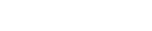 INTERVILLAGE 렌트카
